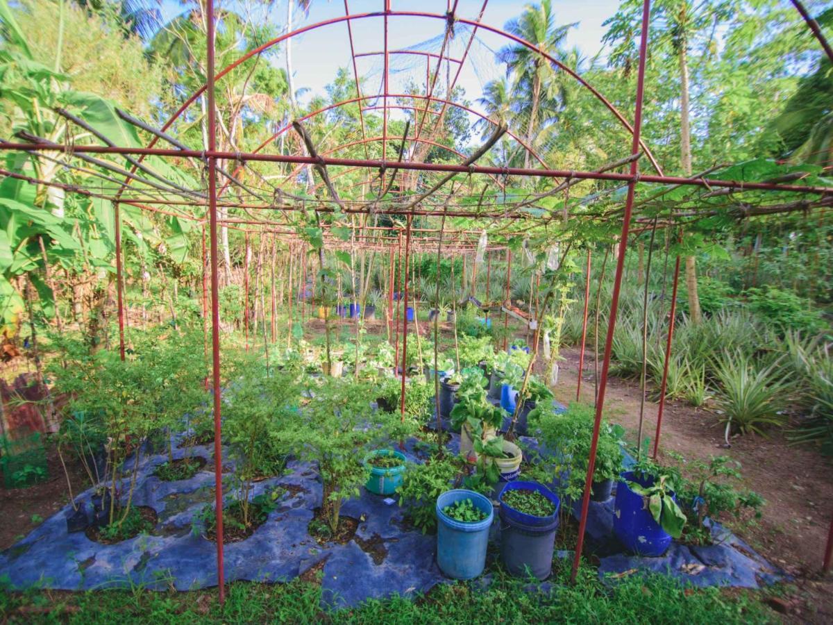 Thalpe Walawwa Heritage Villa Unawatuna Exteriör bild